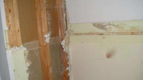 Homely - DSC08497.jpg