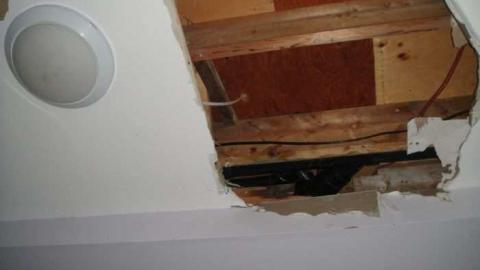 Homely - DSC08498.jpg