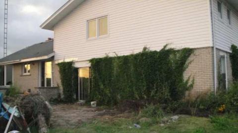 Homely - DSC08507.jpg