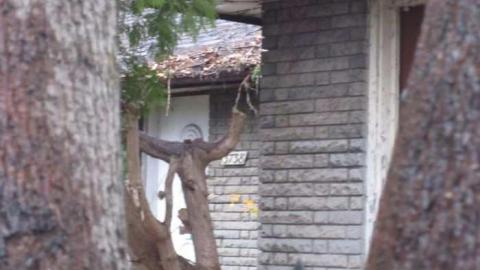 4/12/2012 - 3738-Saint-Clair-Avenue-East7.jpg