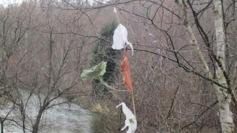 Photo from 5/12/2012