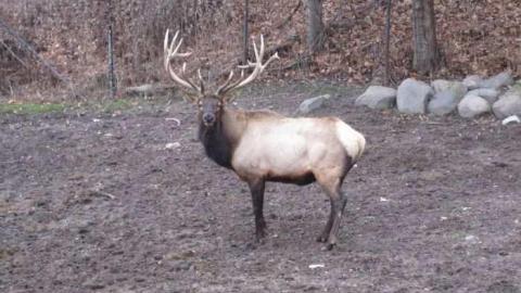 Photo from 5/12/2012