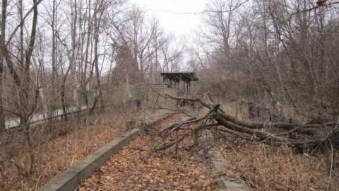 Photo from 5/12/2012