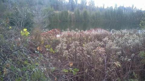 Nash'n'Bash - NashnBash23.jpg