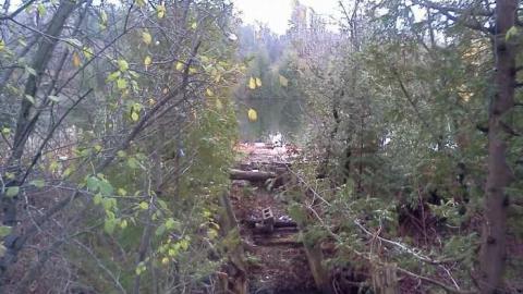 Nash'n'Bash - NashnBash20.jpg