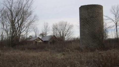 Photo from School House and Shoe Tree