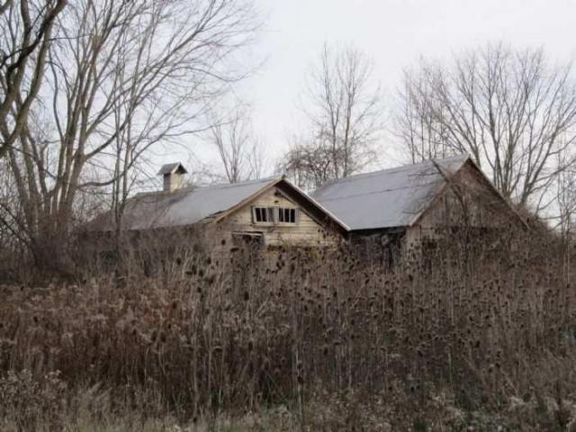School House and Shoe Tree - 017.jpg