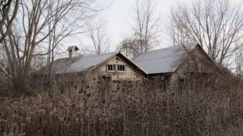 School House and Shoe Tree - 017.jpg