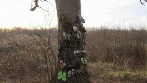 School House and Shoe Tree - 027.jpg