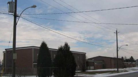 W.T Laing Public School photo 4