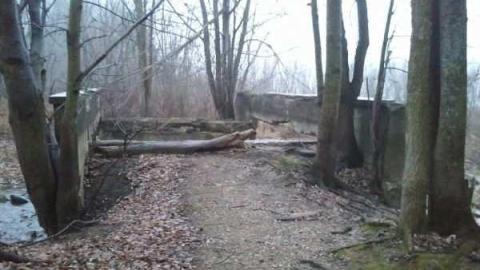 Grand Old Bridge - Belwood-Abandoned-Bridge6.jpg