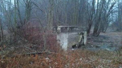 Photo from Grand Old Bridge