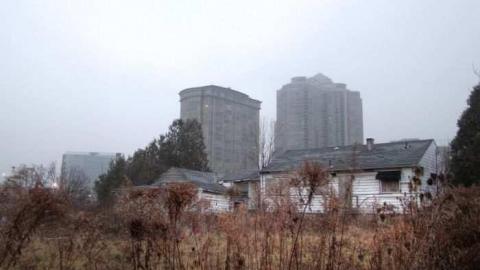 Art Eggle 10 - Puppy-Mill24.jpg