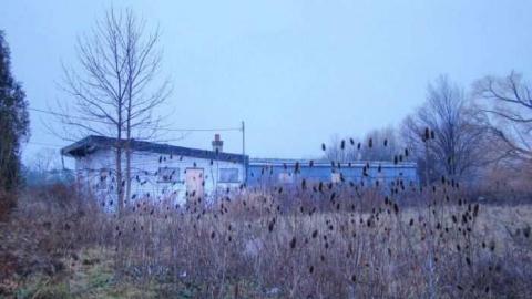 Art Eggle 10 - Puppy-Mill10.jpg