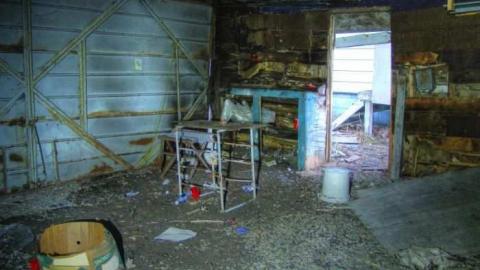 Art Eggle 10 - Puppy-Mill11.jpg