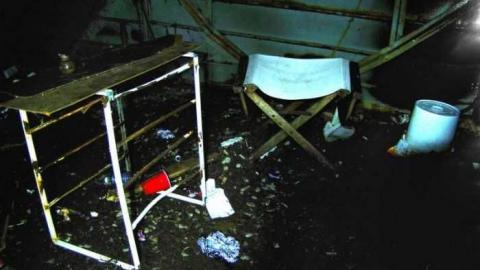 Art Eggle 10 - Puppy-Mill12.jpg