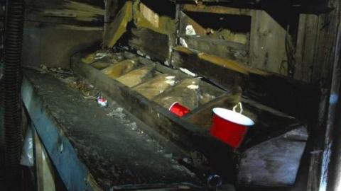 Art Eggle 10 - Puppy-Mill22.jpg