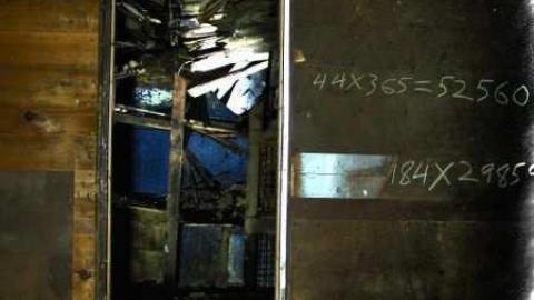 Puppy Mill - Mississauga, Ontario