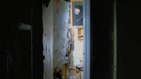 Art Eggle 10 - Puppy-Mill14.jpg