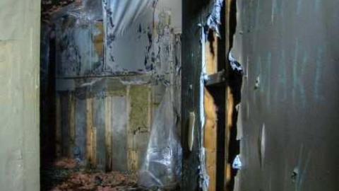 Art Eggle 10 - Puppy-Mill27.jpg