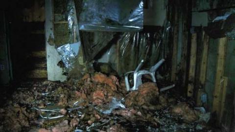 Art Eggle 10 - Puppy-Mill4.jpg