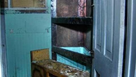 Art Eggle 10 - Puppy-Mill15.jpg