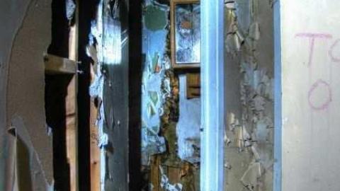 Art Eggle 10 - Puppy-Mill5.jpg