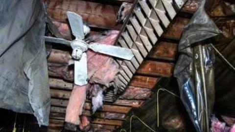 Art Eggle 10 - Puppy-Mill9.jpg