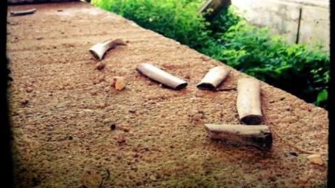 Lurid Fortification - Lurid-Fortification43.jpg