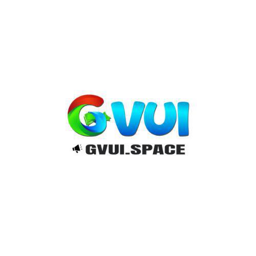 profile of gvuispace