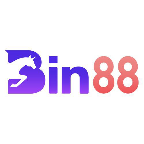 profile of dangkybin881